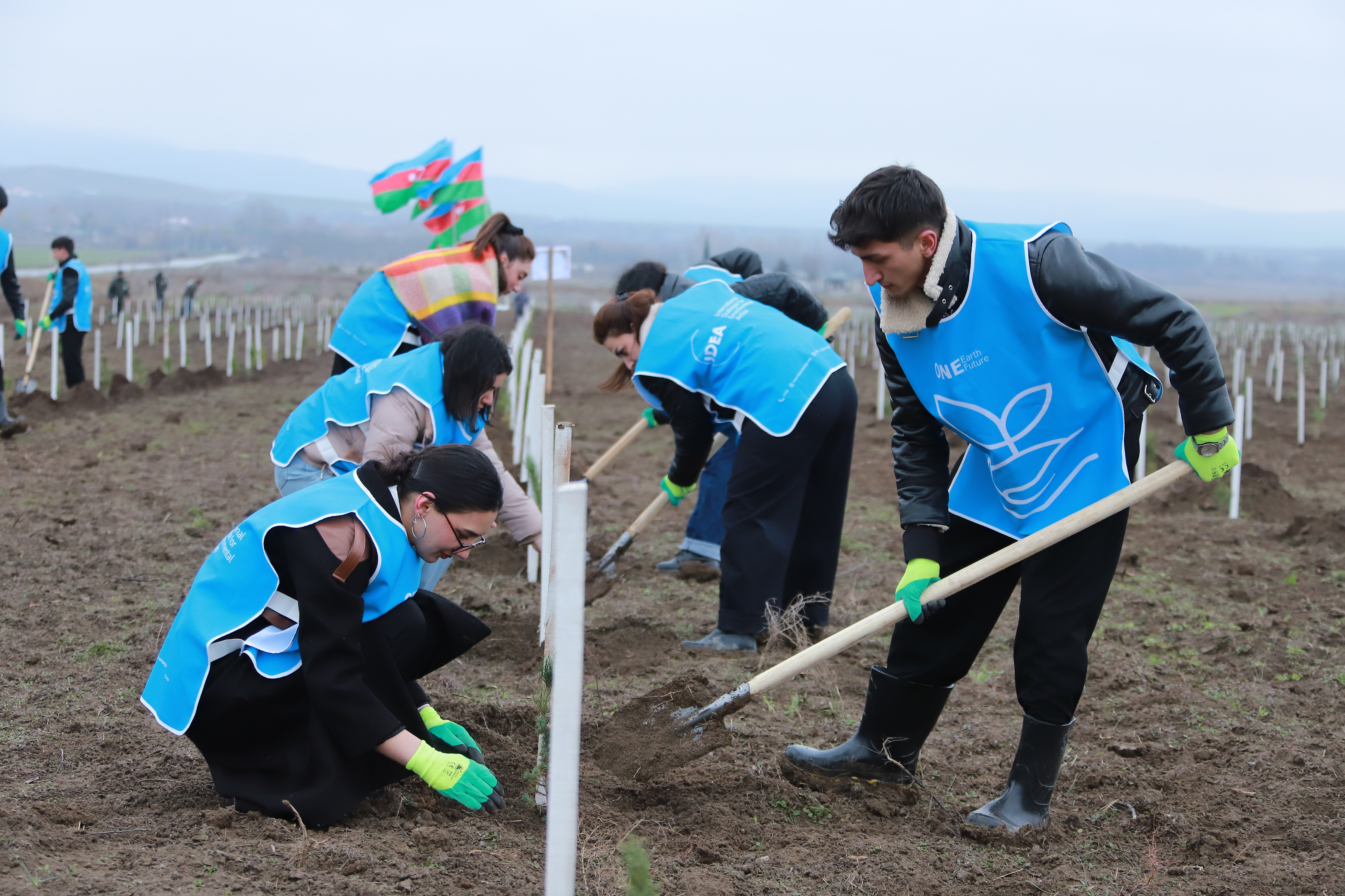 IDEA Şəki və Qəbələdə kütləvi ağacəkmə aksiyası təşkil etdi (FOTO)